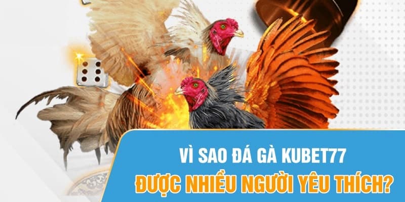 Đá gà tại nhà cái luôn được nhiều người yêu thích bởi các ưu điểm nổi trội