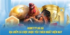 Sảnh đá gà là một địa điểm được người chơi lựa chọn hàng đầu tại Kubet77